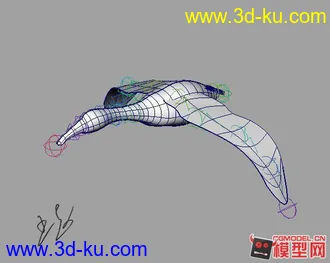 3D打印模型鱼鹰带绑定的。的图片