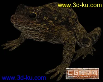 3D打印模型蛤蟆的图片