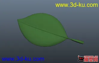 3D打印模型精致q版叶子一枚的图片