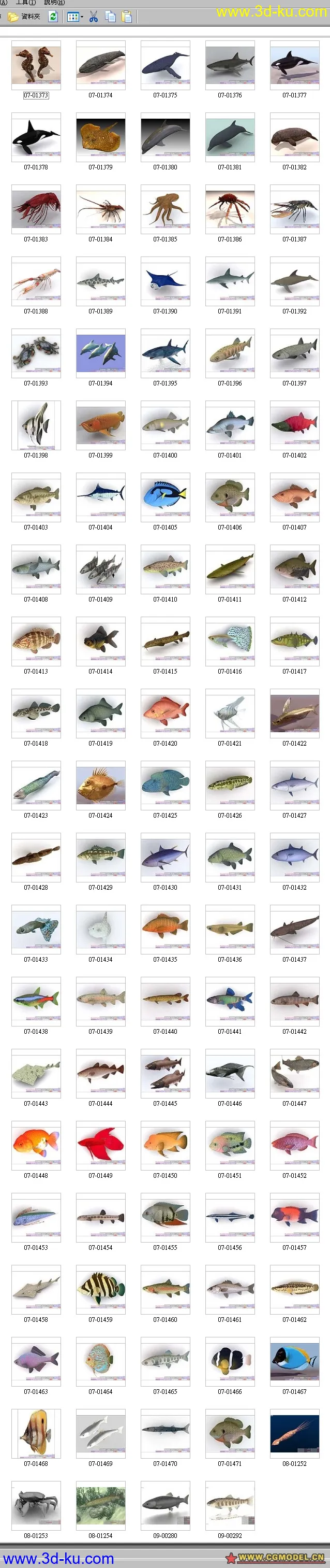 鱼类模型分型的图片1