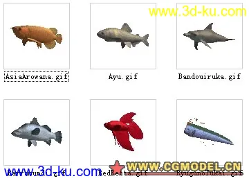 鱼类模型分型的图片4