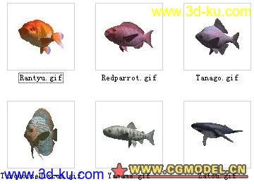 鱼类模型分型的图片5