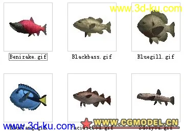 鱼类模型分型的图片6