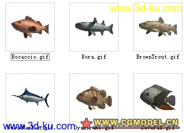鱼类模型分型的图片7