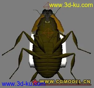 几个生物模型的图片
