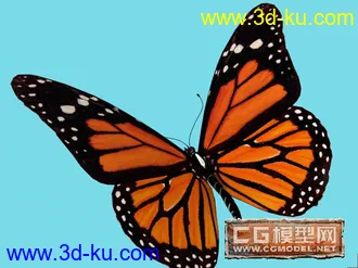 3D打印模型蝴蝶的图片