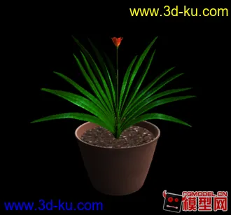 3D打印模型[新人]盆栽，君子兰的图片