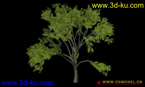 一棵树模型贴图一棵树模型贴图一棵树模型贴图的图片1