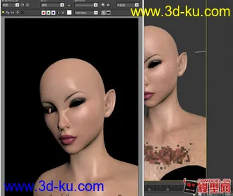 3D打印模型有材质的性感女人的图片