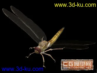 3D打印模型蜻蜓的图片