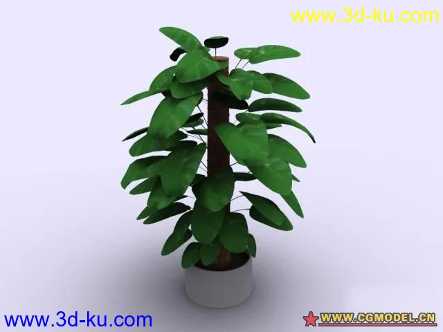 植物模型的图片4