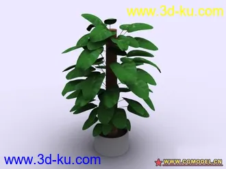 3D打印模型植物的图片