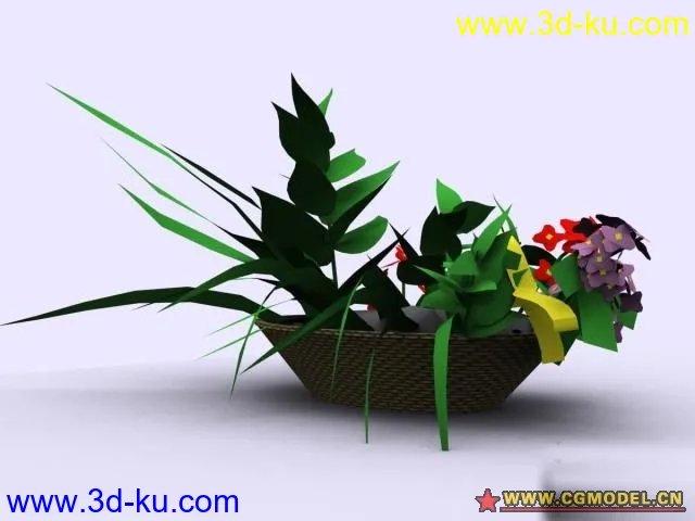 植物模型的图片8