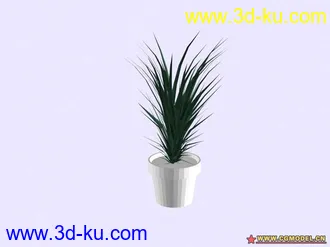 3D打印模型植物的图片