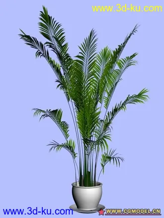 3D打印模型植物的图片