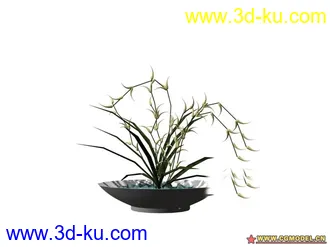 3D打印模型植物的图片