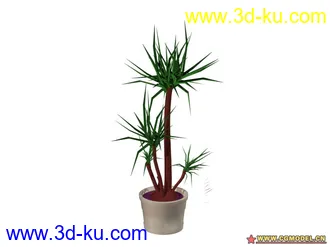 3D打印模型植物的图片