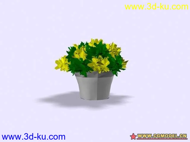 植物模型的图片23