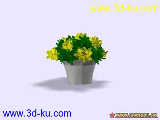 3D打印模型植物的图片