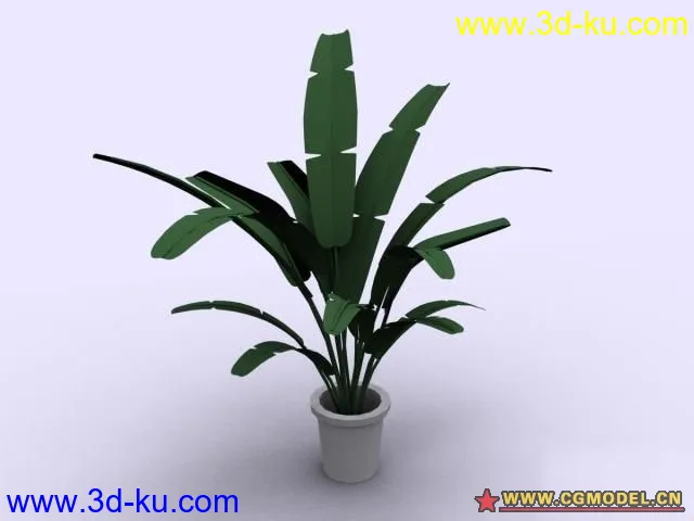 植物模型的图片25
