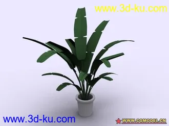 3D打印模型植物的图片