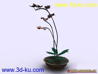 3D打印模型植物的图片