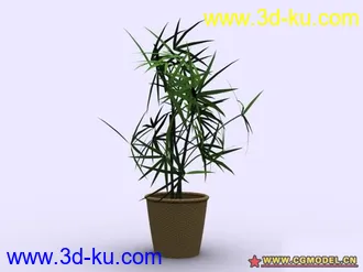 3D打印模型植物的图片