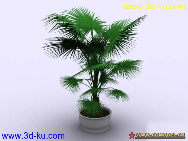 植物模型的图片29