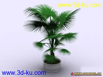3D打印模型植物的图片