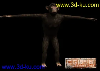 3D打印模型猴子的图片