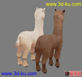 3D打印模型可爱的小羊驼的图片