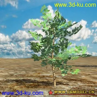 VB Visual公司 超级经典的植物模型的图片