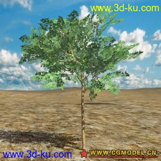 VB Visual公司 超级经典的植物模型的图片