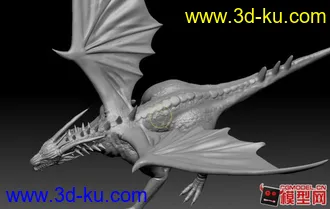 3D打印模型飞龙一只的图片