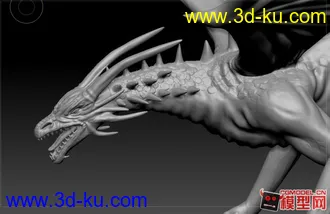 3D打印模型飞龙一只的图片