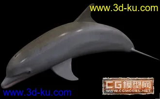 3D打印模型海豚的图片