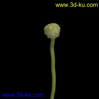 3D打印模型花开动画 带骨骼的图片