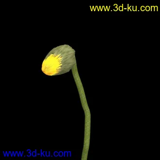 3D打印模型花开动画 带骨骼的图片