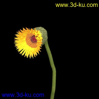 3D打印模型花开动画 带骨骼的图片