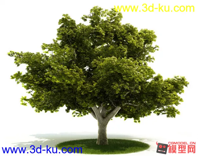超高精度树模模型的图片1