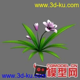 3D打印模型继续发高模小型植物【原创】的图片