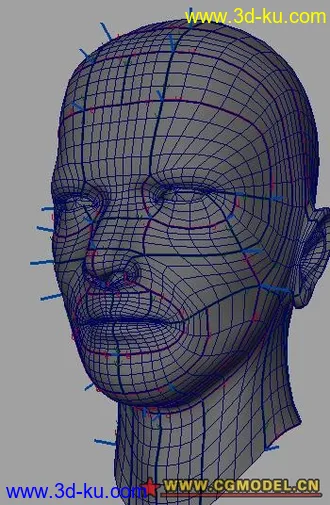 3D打印模型nurbsHead的图片