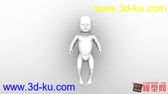 婴儿石膏人体模型的图片