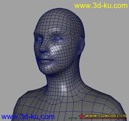 人物基础模型的图片1