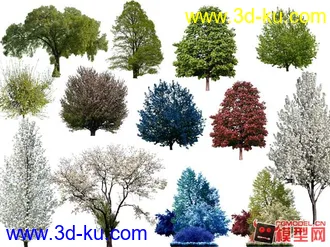 3D打印模型透明树图片的图片