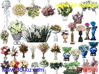 3D打印模型花草装饰物透明图片的图片