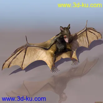 3D打印模型蝙蝠的图片