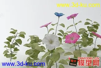 3D打印模型喇叭花 精模的图片