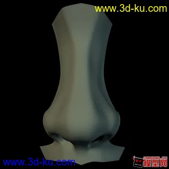 人物鼻子模型的图片