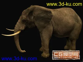 3D打印模型大象的图片